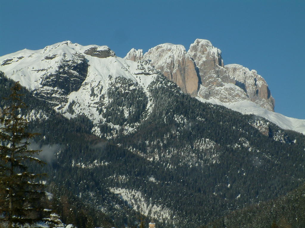Casa Elisa Daire Pozza di Fassa Dış mekan fotoğraf